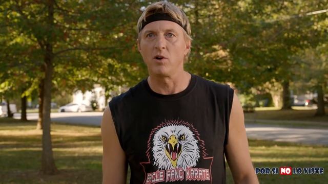 Por si no lo viste: Cobra Kai (Temporada 3) смотреть онлайн