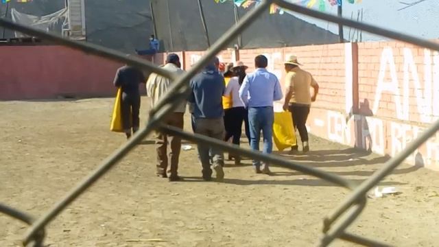 payaso reta a toro y termina sexual смотреть онлайн