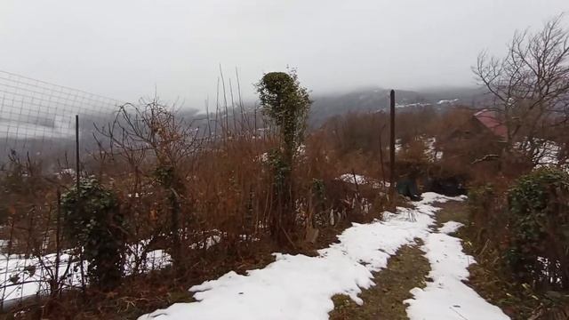 Иду 🌲В приют. Котики встречают. Ох, Не просто добраться, ибо очень много снега в этом году.. смотреть онлайн
