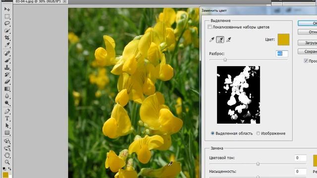 Замена цвета на изображении в Фотошоп. Фото редактор Adobe Photoshop. Уроки Фотошоп.