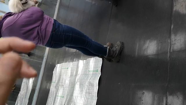 VID 20220103 145411 смотреть онлайн