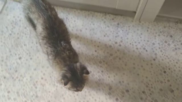 сериал МОМО 9 серия смотреть онлайн