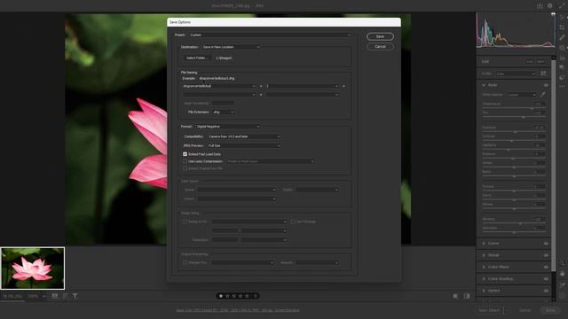Adobe Camera RAW - Lesson 46 - Saving as DNG смотреть онлайн