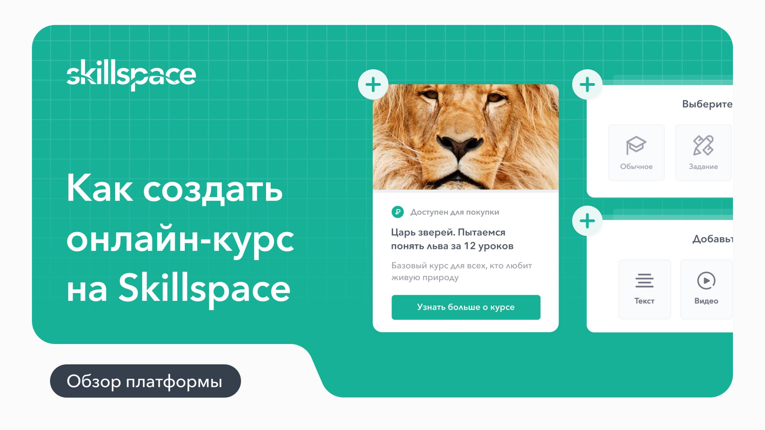 Как создать и настроить онлайн-курс на LMS-платформе Skillspace смотреть онлайн