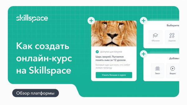 Как создать и настроить онлайн-курс на LMS-платформе Skillspace