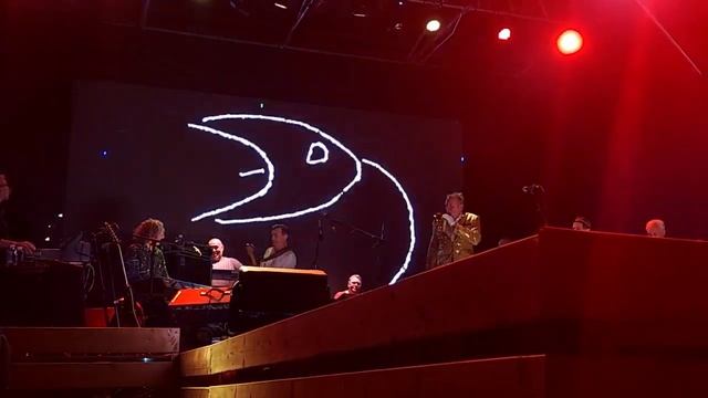 Аукцыон - 12. Чайки (бис) смотреть онлайн