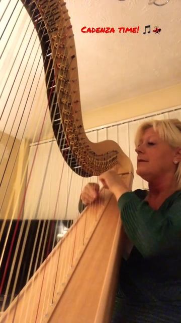 The cadenza from ‘Capriccio Espagnole’ (Rimsky Korsakov) смотреть онлайн