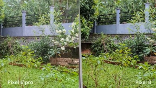 Pixel 8 vs Pixel 6 pro Camera Test