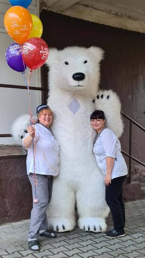 Медведь поздравляет