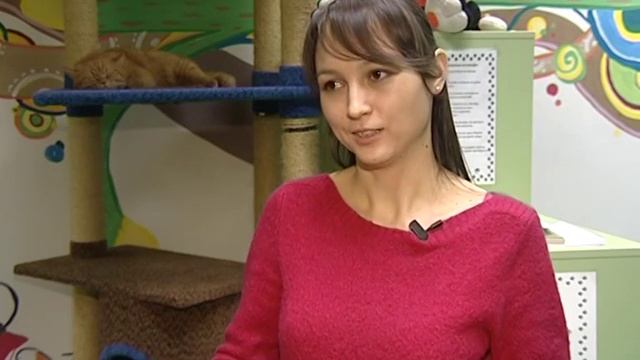 Горожане: хозяйка котокафе смотреть онлайн