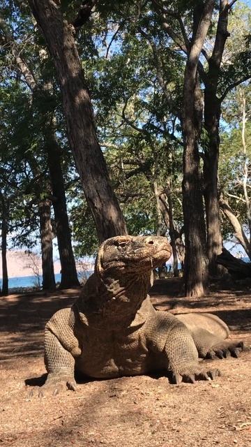 Poisonous saliva 😱 смотреть онлайн