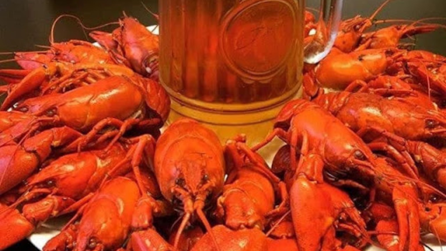 ЗИМНИЕ РАКИ ГИГАНТЫ / РАКИ В ПРИДНЕСТРОВЬЕ 2025