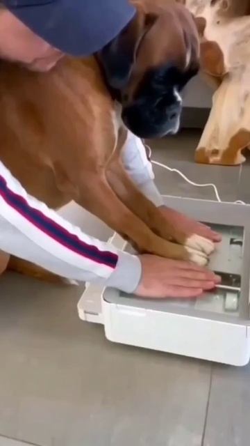 Самый лучший снимок смотреть онлайн