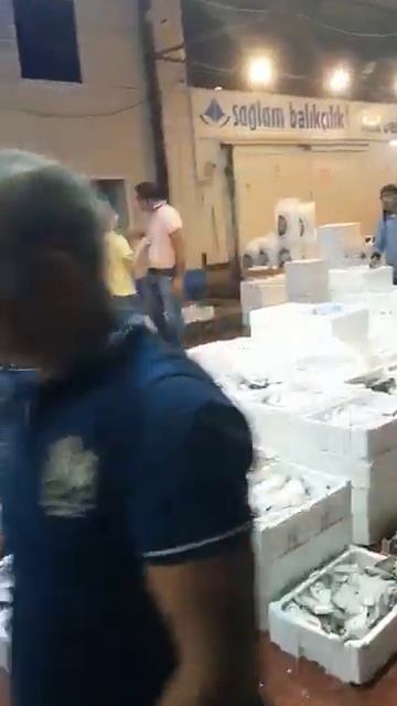 Анталия , рыба , оптовый рынок 6 утра смотреть онлайн