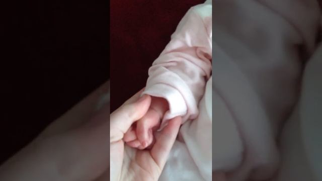 Scarlett Rose -- Sleepy Head By Rita Rich Arnold смотреть онлайн