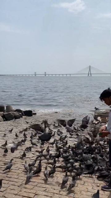 Samundar Mumbai смотреть онлайн