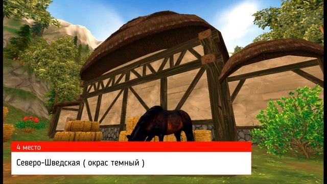 =МОИ ЛОШАДИ= места смотреть онлайн
