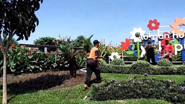 WISATA HUTAN BAMBU KEPUTIH KOTA JAWA TIMUR смотреть онлайн