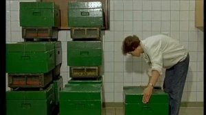 Ротационное разведение пчел. Часть 2