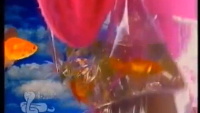 Doop - Wan Too! ( Polsat )