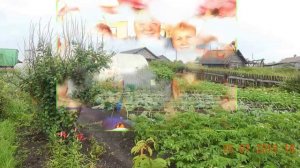 300 лет Висиму