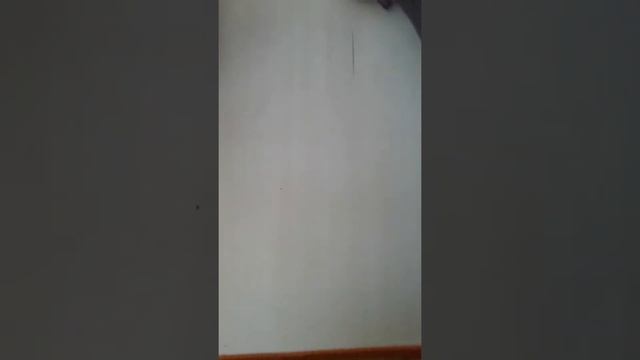 Мои блокноты и ежедневники смотреть онлайн