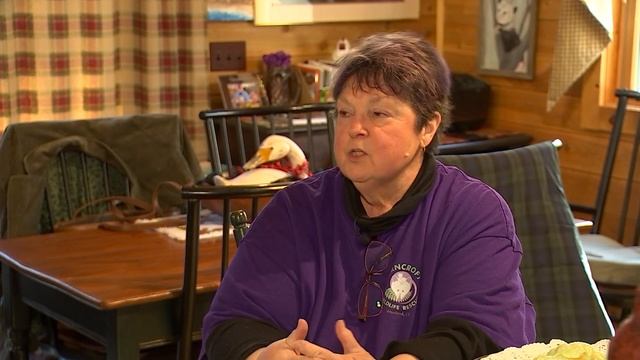 Ferncroft Wildlife Rescue - WFSB TV-3 1-2022 смотреть онлайн