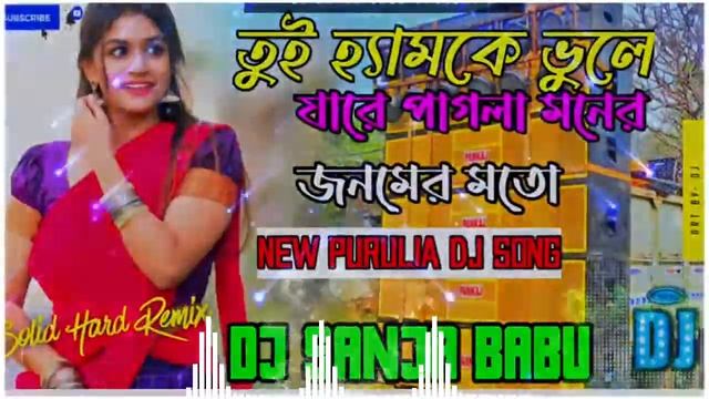 Tui Hamke Vula jare pagla New Dj Purulia song mix by dj sanja Babu 2023 смотреть онлайн
