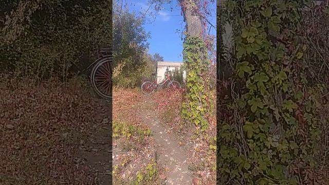 щука 2.600 на самодельный воблер. смотреть онлайн