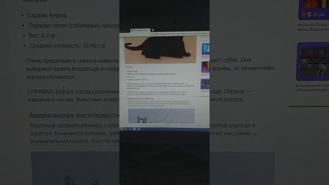 лучшие породы кошек 2 часть смотреть онлайн