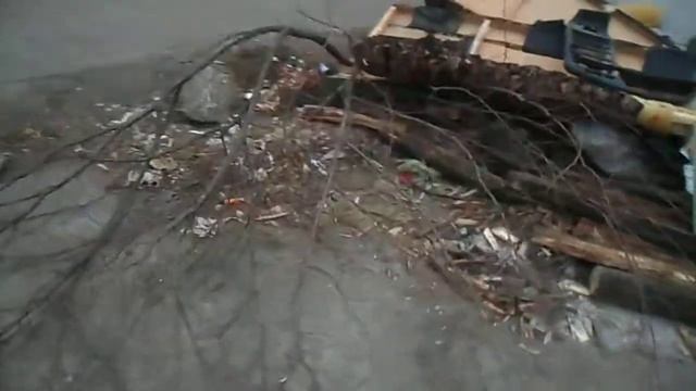 контейнерная площадка Театральный проезд 28ноя19 15:57 смотреть онлайн