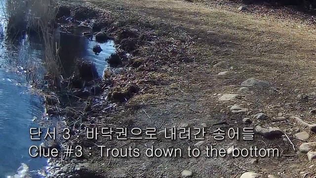 무지개 송어 낚시(헬타임에 하드베이트 패턴 찾기)/Rainbow Trout Fishing смотреть онлайн