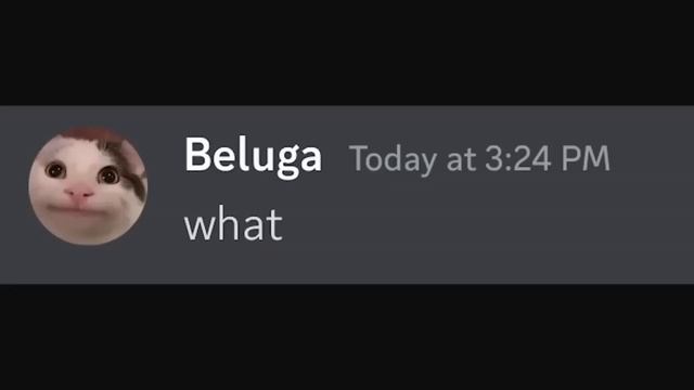 Сборник видео Beluga с русским переводом от @TXPStudio смотреть онлайн