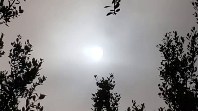 Mt. Helix FOGSUN смотреть онлайн