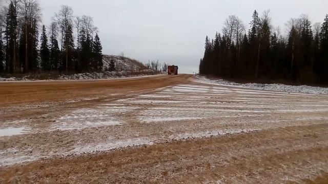 баксиды тимана (новенький) смотреть онлайн