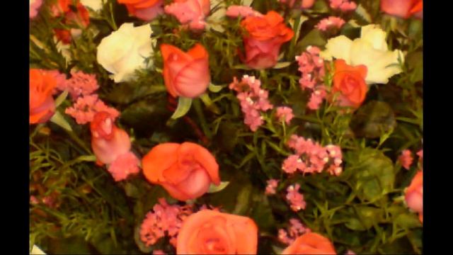 Под лаской плюшевого пледа... декабрь 2015 live смотреть онлайн