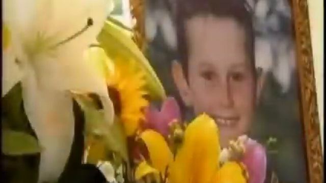 динго смотреть онлайн