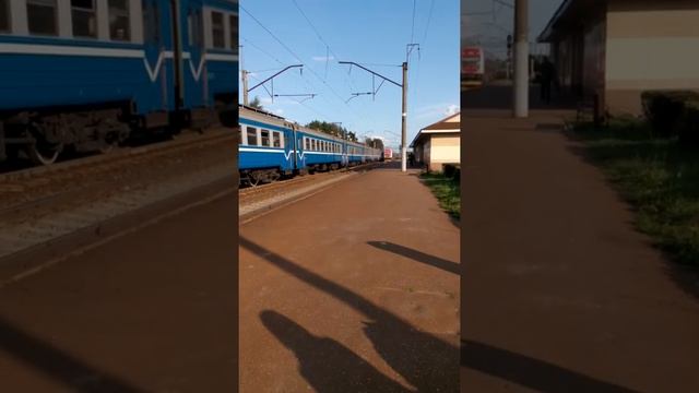 Электричка Минск - Олехновичи и электропоезд Вильнюс - Минск на о. п. " Крыжовка " смотреть онлайн