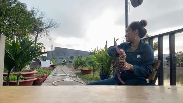 Hằng trói giây cua 🦀 CÁI so gởi ANh chi sai gòn смотреть онлайн