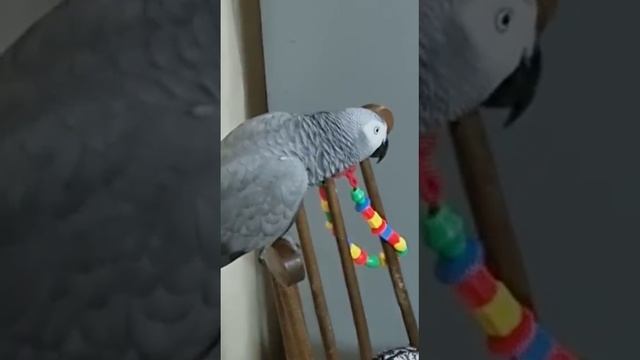 прикольно! Игрушечки поигруснели!.. смотреть онлайн