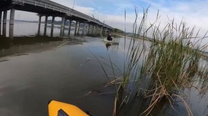 Осенние огромные караси на паук подъёмник. #낚시 #fishing #рыбалка