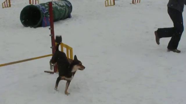 30 12 12 Лена и Лина 3 смотреть онлайн