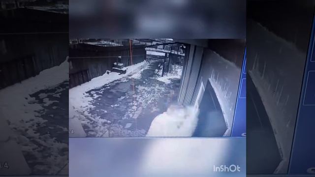 Синица стольной кулак))) смотреть онлайн