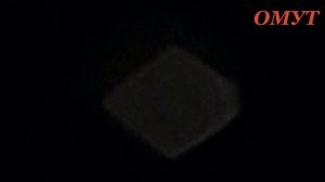 273. МЫ С ВАМИ НЕ ОДНИ - ДОБРА РОДНЫЕ...