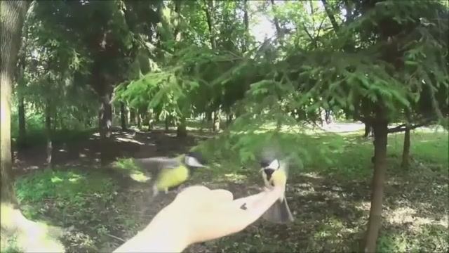 Сборник 4. Музыка Сергея Чекалина. Collection 4. Music By Sergey Chekalin.