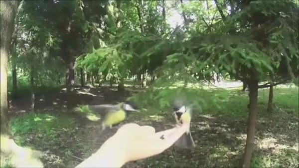 Сборник 4. Музыка Сергея Чекалина. Collection 4. Music by Sergey Chekalin.