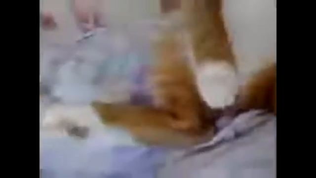 Смешные видео Самые смешные видео подборка смешных видео 2015 HD NEW!!!!!! 7 смотреть онлайн