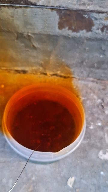 1000008948.mp4 смотреть онлайн