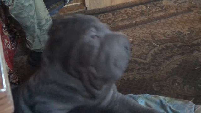 dobrinya 22/07/2014 смотреть онлайн