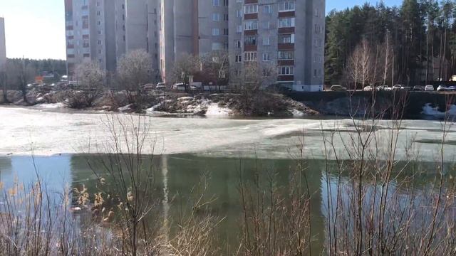 Чайки прилетели! смотреть онлайн